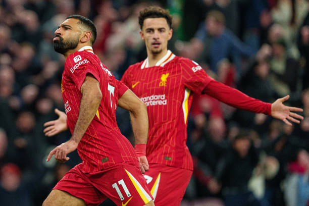 历了如此激 历了如此激