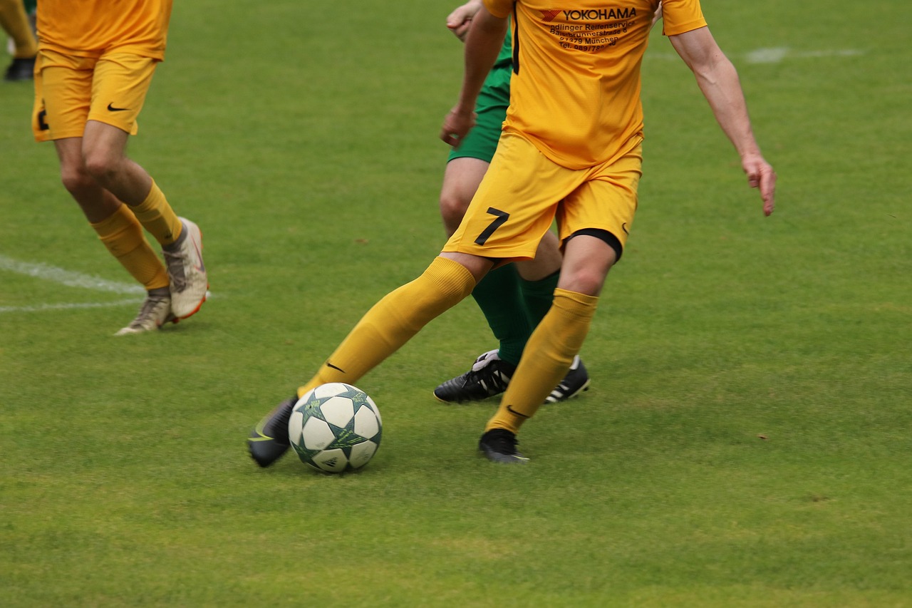 在社会中担 在社会中担